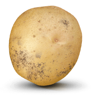 Potato with 21,000 value on it