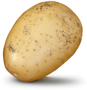 Potato with $9.5bn value on it