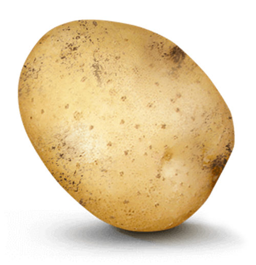 Potato with 1 in 4 value on it