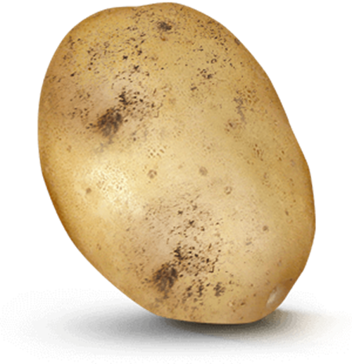 Potato with 160 value on it