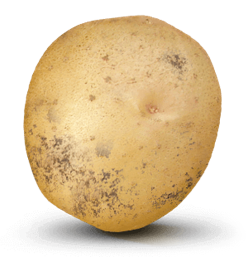 Potato with 21,000 value on it