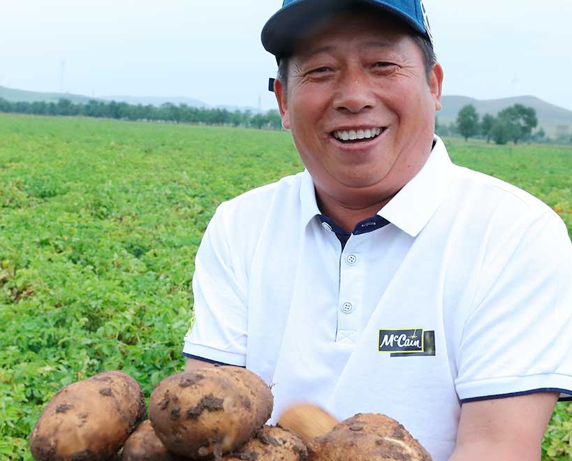 McCain Foods team member holding lots of potato, in potato field