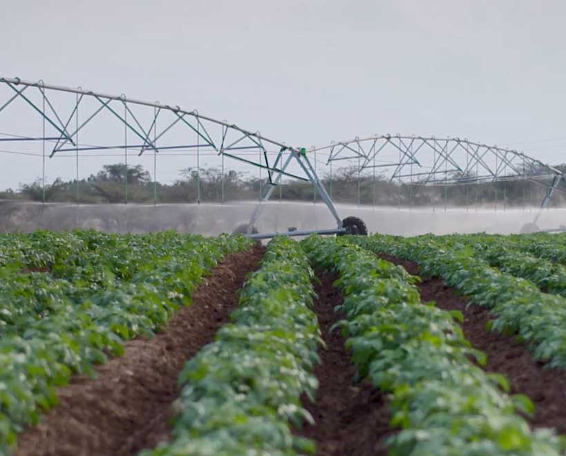 Drip irrigation india