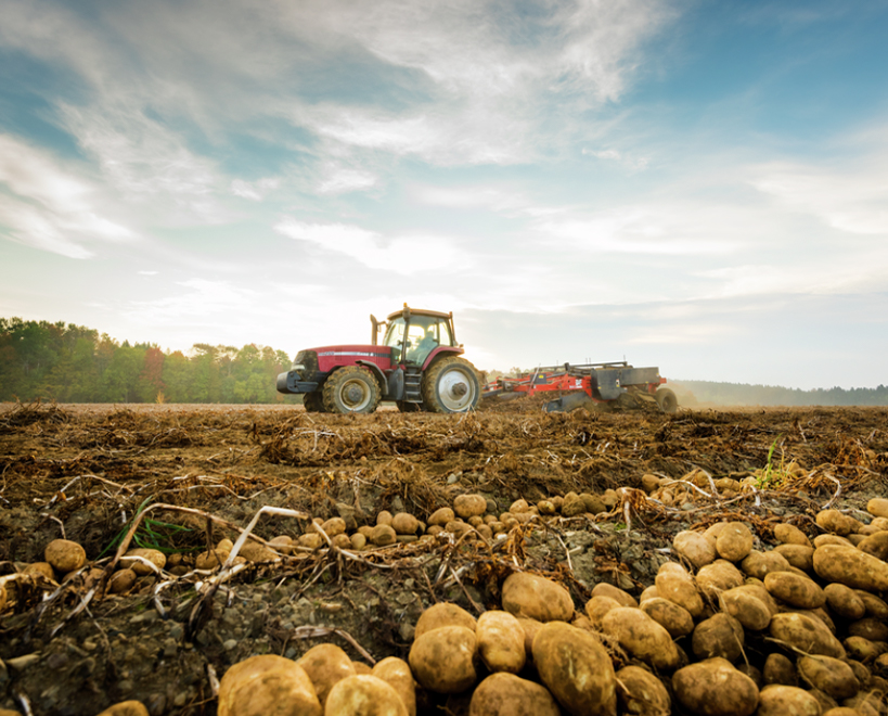 Red tractor in field