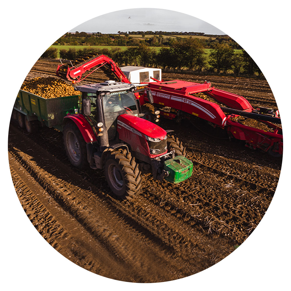 Tractor and agricultural machinery in field, undertaking a potato harvest