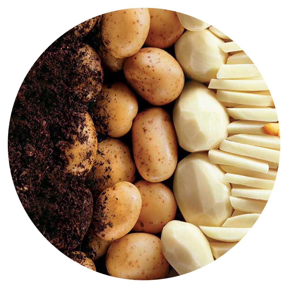 Image showing the process of potatoes turning into a French fry. Soil, potato with skin, pealed potato, cut into French fry shape