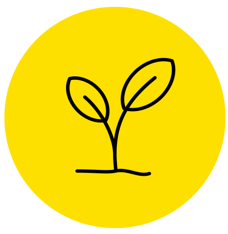 Icon of plant in groumd