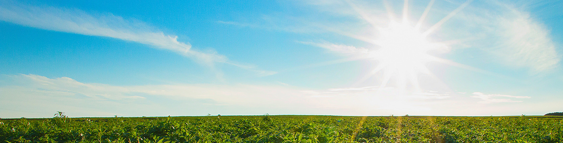 McCain Foods Our Journey Header