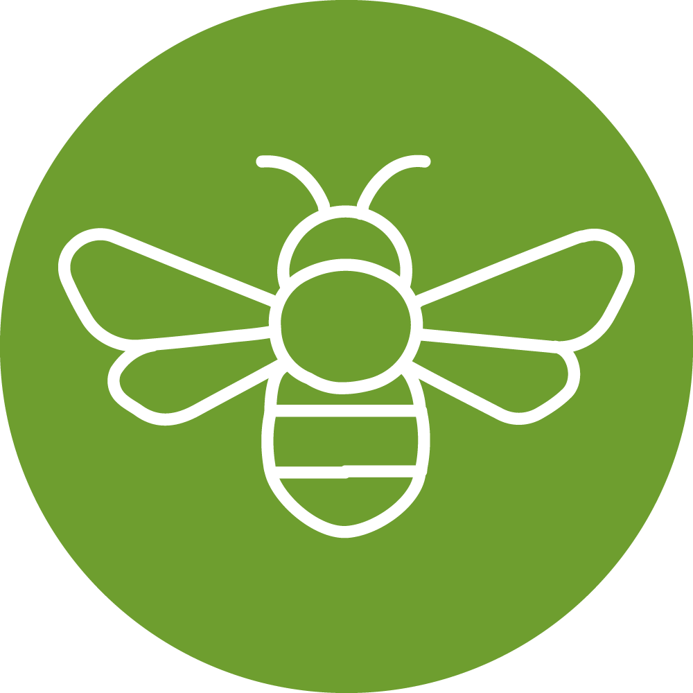 Icon of bee