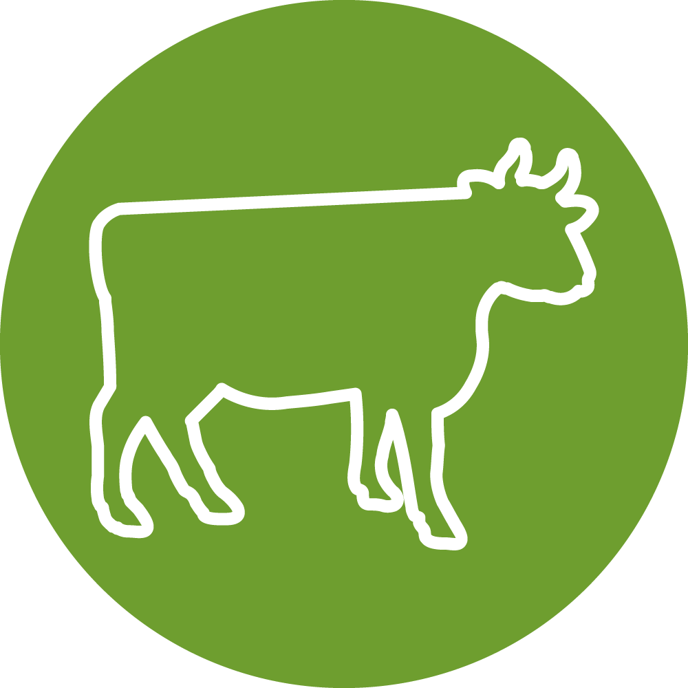 Icon of cow