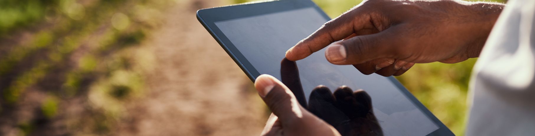 Person looking at tablet on farm
