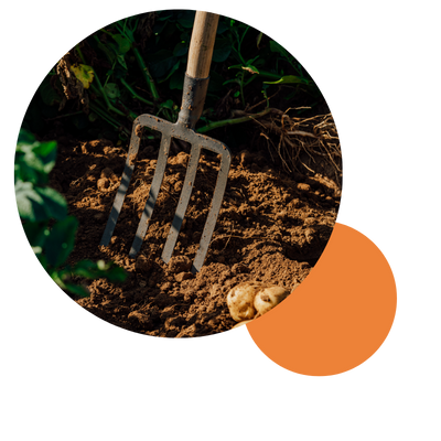 Gardening fork tool in ground