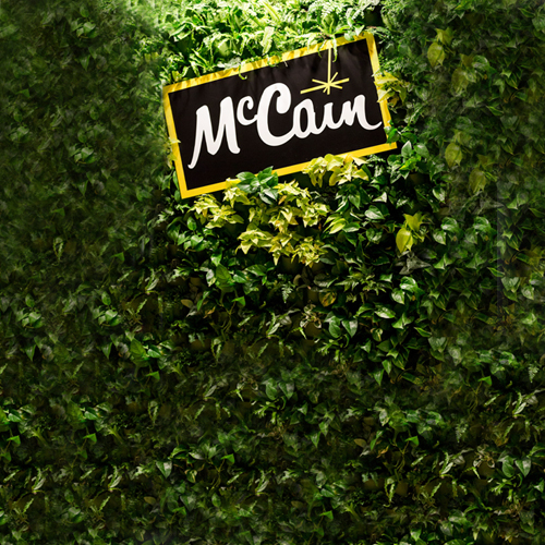 McCain Foods logo on leaves M