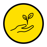 Icon of hand holding plant
