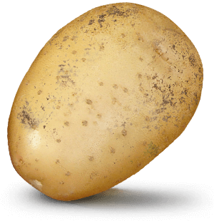 Potato with  value on it