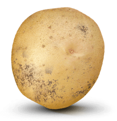 Potato with  value on it