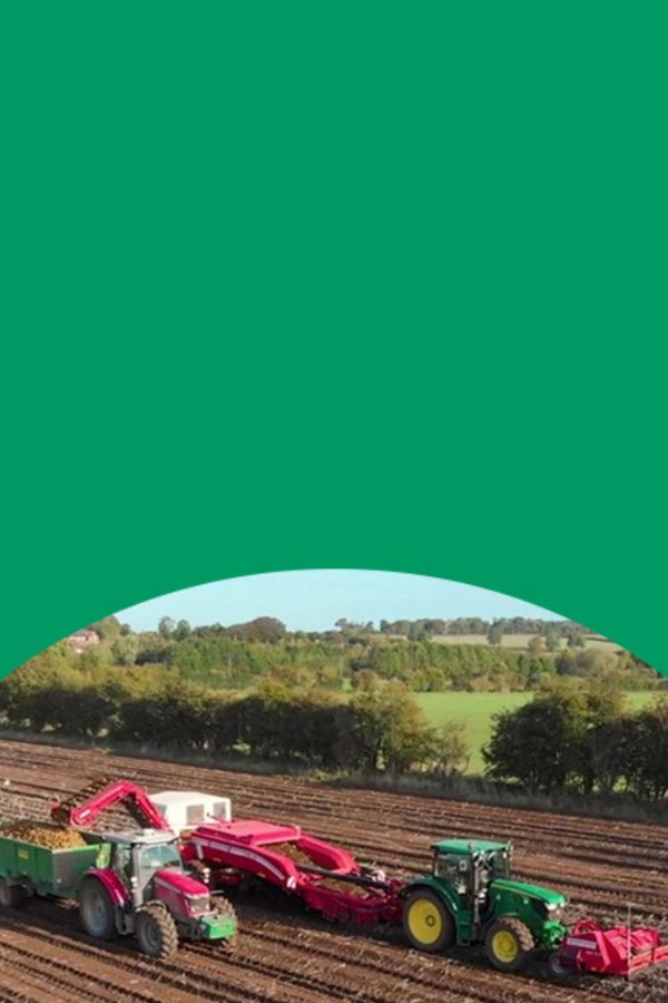 Sustainability at McCain<span class="yellow-title">.</span> + " Banner Image")