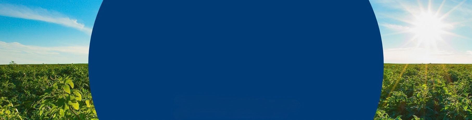 B our leadership header d